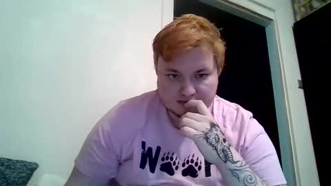 BartTheBear online show from February 9, 7:51 pm