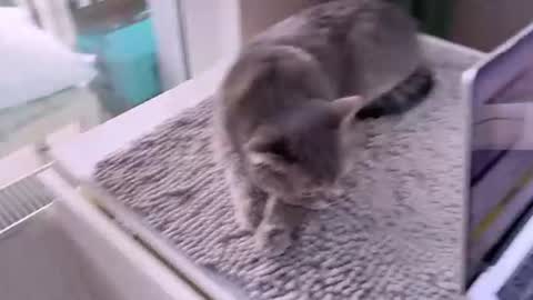 Snapshot of bb_lourels_ chatting on June 14, 5:48 pm Lourel I will be here on and online show from June 14, 5:48 pm