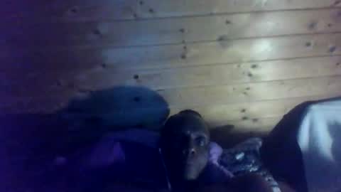 bbcmasterxl online show from December 22, 1:02 am