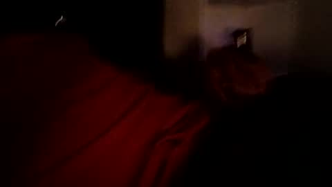 bbetoven online show from October 27, 6:50 am