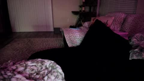 Snapshot of bbshasta chatting on April 6, 4:32 am Shasta online show from April 6, 4:32 am