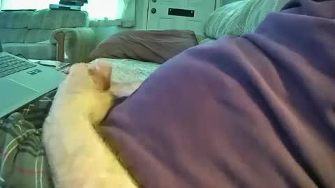 bcema2 online show from September 26, 5:28 pm