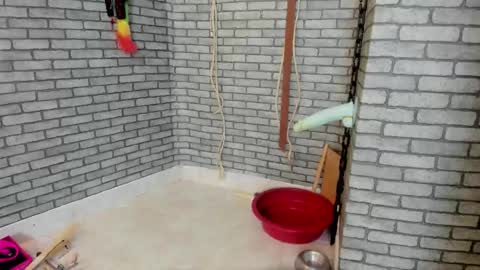 Meduza  online show from November 17, 2:34 pm