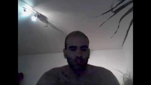 bear14250949 online show from December 21, 9:05 am