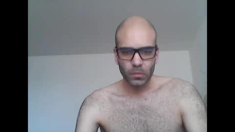 bear14250949 online show from February 4, 10:32 am