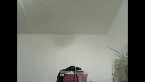 bear14250949 online show from February 8, 6:55 pm