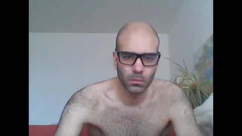 bear14250949 online show from February 9, 11:47 am