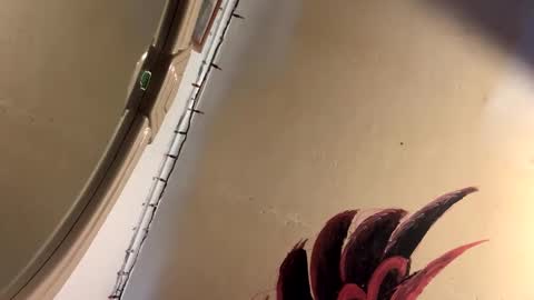 Mikes room online show from April 2, 9:56 pm