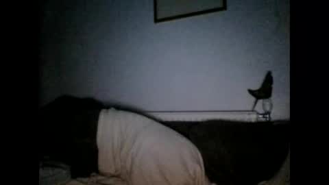 beatlebut online show from October 1, 6:25 pm