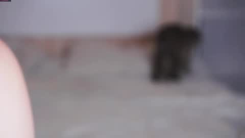 Beatrice online show from November 7, 7:25 pm