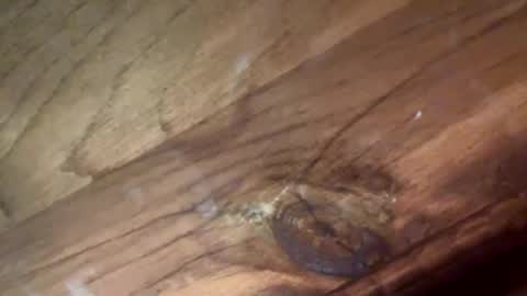 beautifukk online show from January 14, 7:52 pm