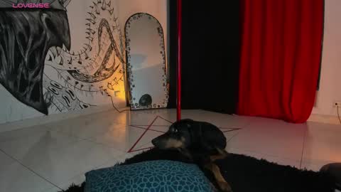 Daniela  ur fav living dead girl  online show from January 5, 12:42 am