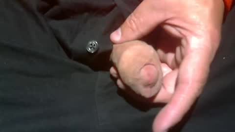  Reservoir Dogs online show from November 2, 1:41 am