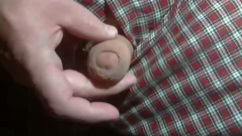  Reservoir Dogs online show from January 12, 1:00 am