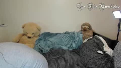 Snapshot of beethebumblebee chatting on February 24, 10:35 am Bee online show from February 24, 10:35 am