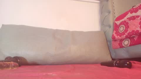 Snapshot of begoniia_ chatting on December 28, 9:31 am Begonia online show from December 28, 9:31 am