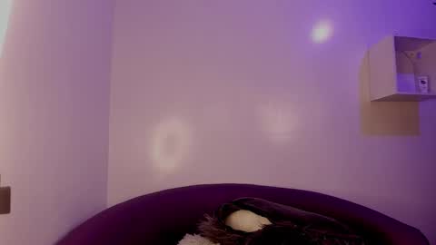 Bella online show from February 3, 6:40 am