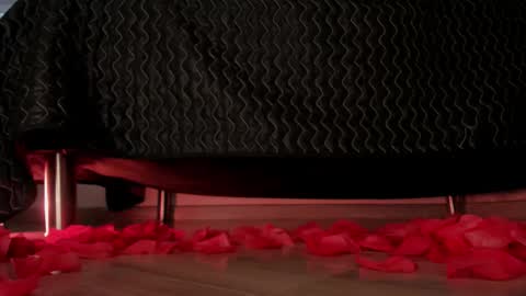 Dessi  online show from November 21, 12:26 pm