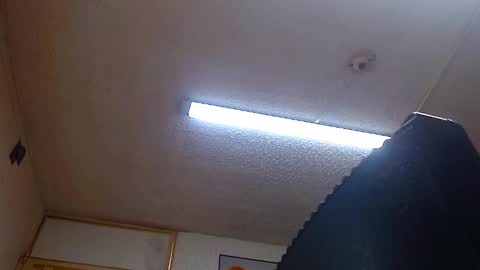 Snapshot of bella_lady_1_ chatting on December 31, 1:41 pm lady online show from December 31, 1:41 pm