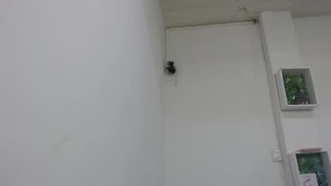 Snapshot of bella_lady_1_ chatting on February 9, 6:47 pm lady online show from February 9, 6:47 pm