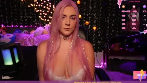 Snapshot of bellabearts chatting on December 1, 9:59 pm Bellalunabear trans JadePlant Cis online show from December 1, 9:59 pm