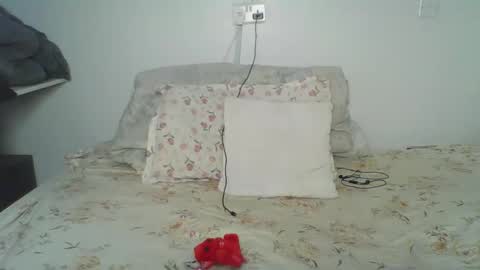 bellah online show from February 24, 5:49 am