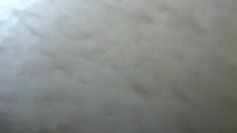 Jack online show from April 13, 3:01 am