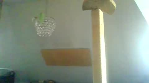 benizio online show from January 30, 11:01 am