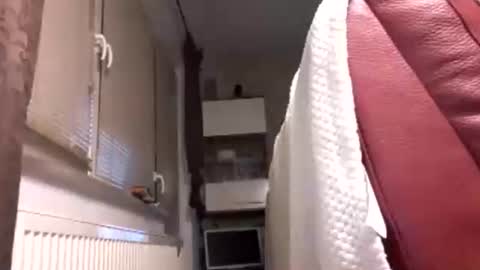 Benutzmich0800 online show from February 14, 2:19 am