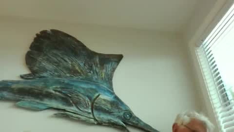 bestshot1951 online show from March 20, 1:49 pm