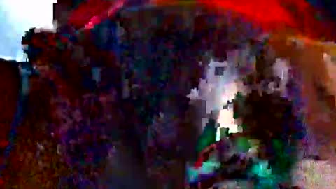 Bethany Wilson online show from February 14, 11:40 am