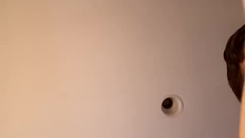 bgiamba21 online show from October 16, 3:40 am