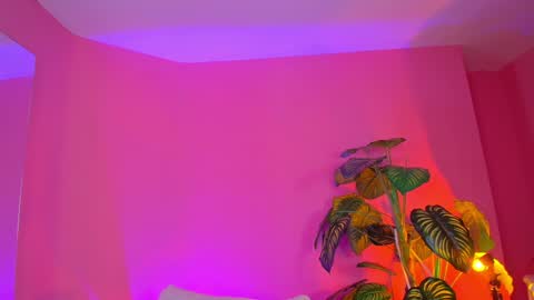 Bianca online show from December 19, 10:02 am