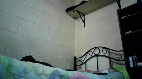 bichopeludo online show from October 6, 12:08 am