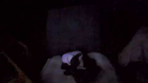 Snapshot of big_davis4 chatting on November 30, 12:42 pm big_davis4 online show from November 30, 12:42 pm