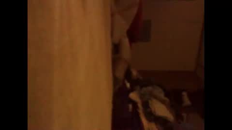 BB online show from November 13, 3:05 am