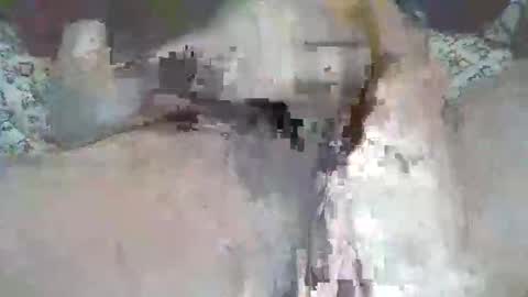 bigbr0wnc0ck69 online show from September 9, 4:50 pm