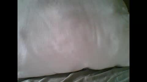 Snapshot of bigbravo337 chatting on November 22, 2:27 pm bigbravo337 online show from November 22, 2:27 pm