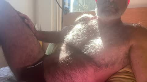 big bush online show from July 30, 2:32 am