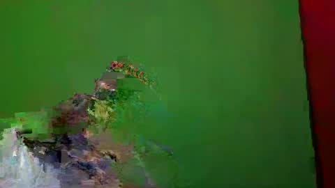 TheSexDistrict online show from December 25, 1:31 am