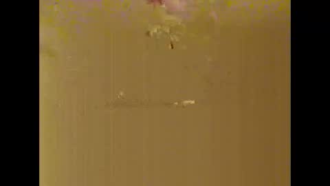 Snapshot of bigdaddydongarlets391292 chatting on October 17, 8:06 am bigdaddydongarlets391292 online show from October 17, 8:06 am