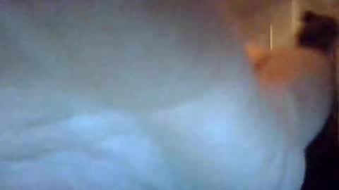 Snapshot of bigdickdaddy7201979564868 chatting on September 22, 7:10 am bigdickdaddy7201979564868 online show from September 22, 7:10 am