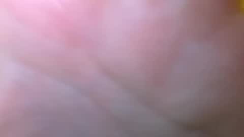 bigdickitalian137 online show from September 29, 8:35 pm