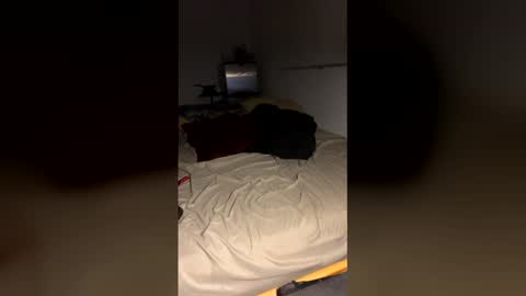 bigdickpapishampoo online show from December 19, 10:00 am