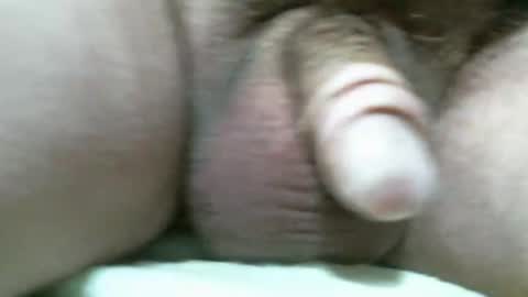 BigDog online show from November 11, 7:03 pm