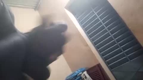 Snapshot of bigduckers chatting on January 19, 1:42 am black man online show from January 19, 1:42 am