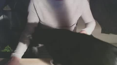 Snapshot of bigdutchenergy chatting on February 28, 11:06 pm BigDutchEnergy online show from February 28, 11:06 pm