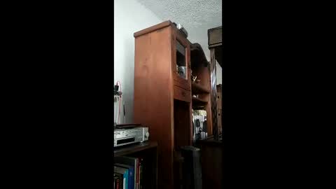 Snapshot of bigfalo58 chatting on December 20, 6:37 pm bigfalo58 online show from December 20, 6:37 pm