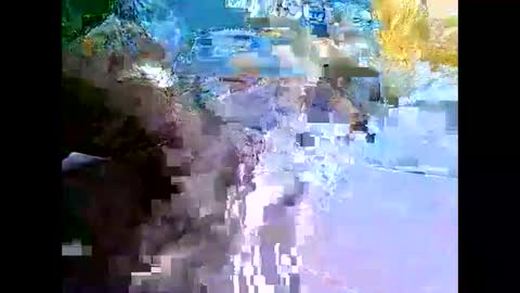 Snapshot of bigfatarabzobrr1994__ chatting on December 11, 2:41 am Mr Alpha online show from December 11, 2:41 am