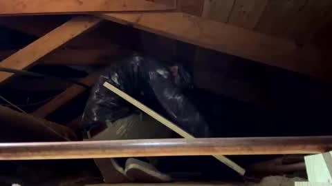 bigjim6646 online show from September 21, 3:02 pm